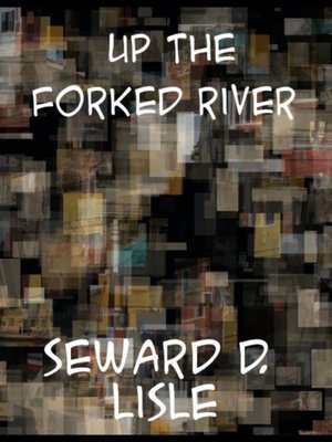 cover image of Up the Forked River Or, Adventures in South America